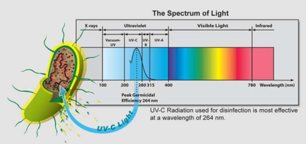 El Ministerio de Sanidad ha autorizado el uso de productos UV-C para la desinfección del virus SARS-CoV-2